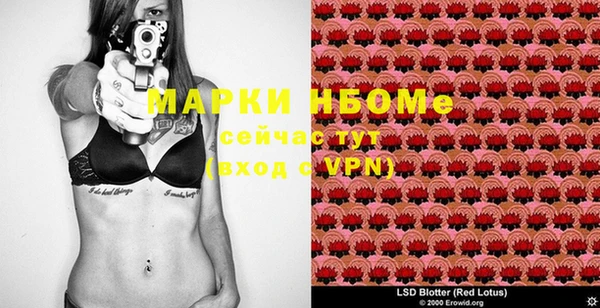 прущие грибы Алексин