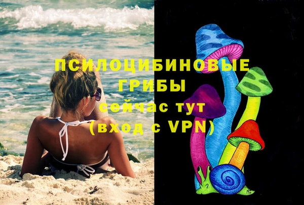 прущие грибы Алексин