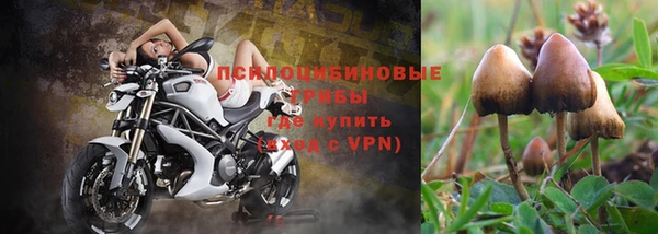таблы Алзамай